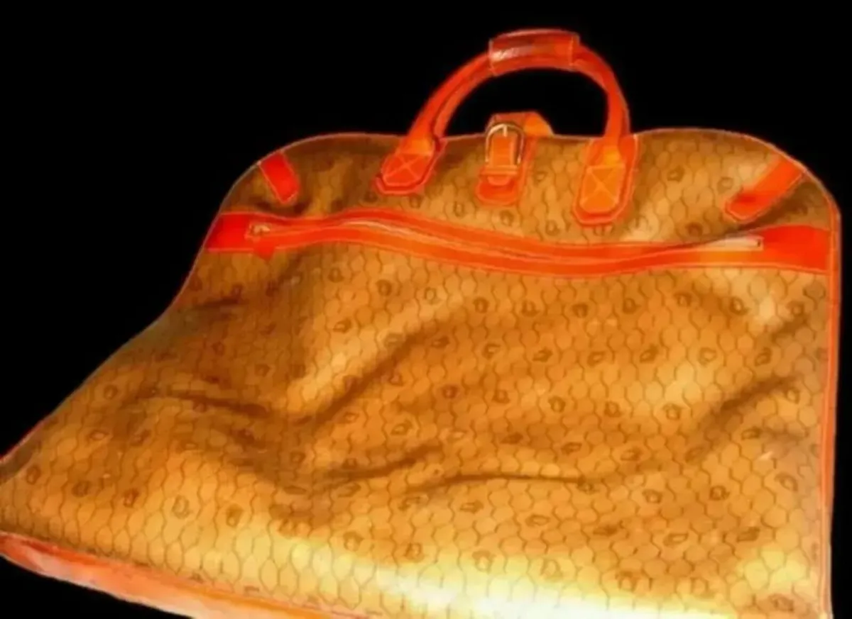 Vintage Authentic Dior Garment/Suit Bag - Image 1