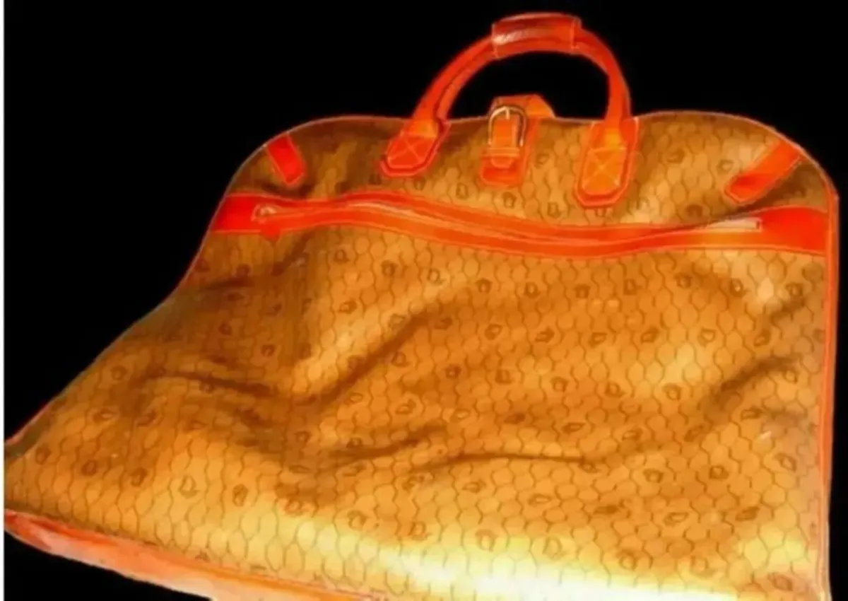 Vintage Authentic Dior Garment/Suit Bag - Image 4