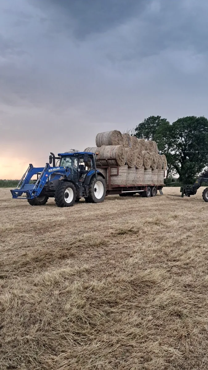 Hay - Image 2