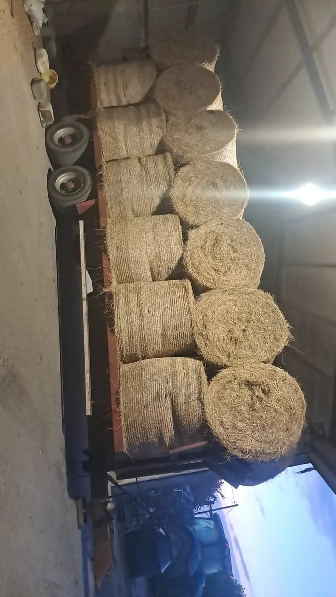 Hay - Image 1