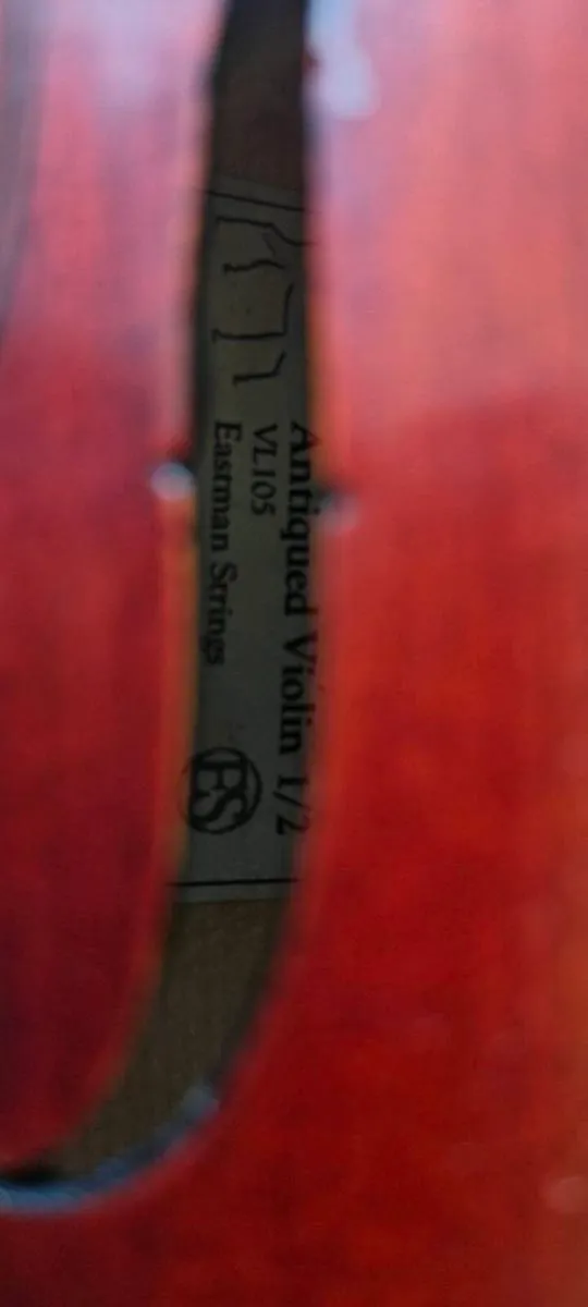 1/2 Eastman Westbury violin - Image 4