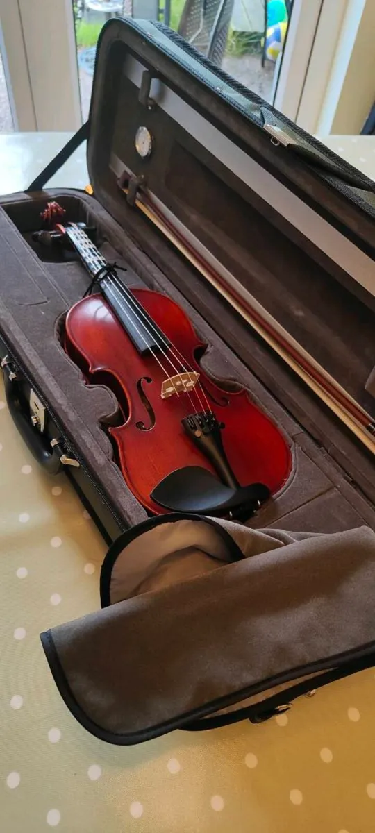1/2 Eastman Westbury violin - Image 1
