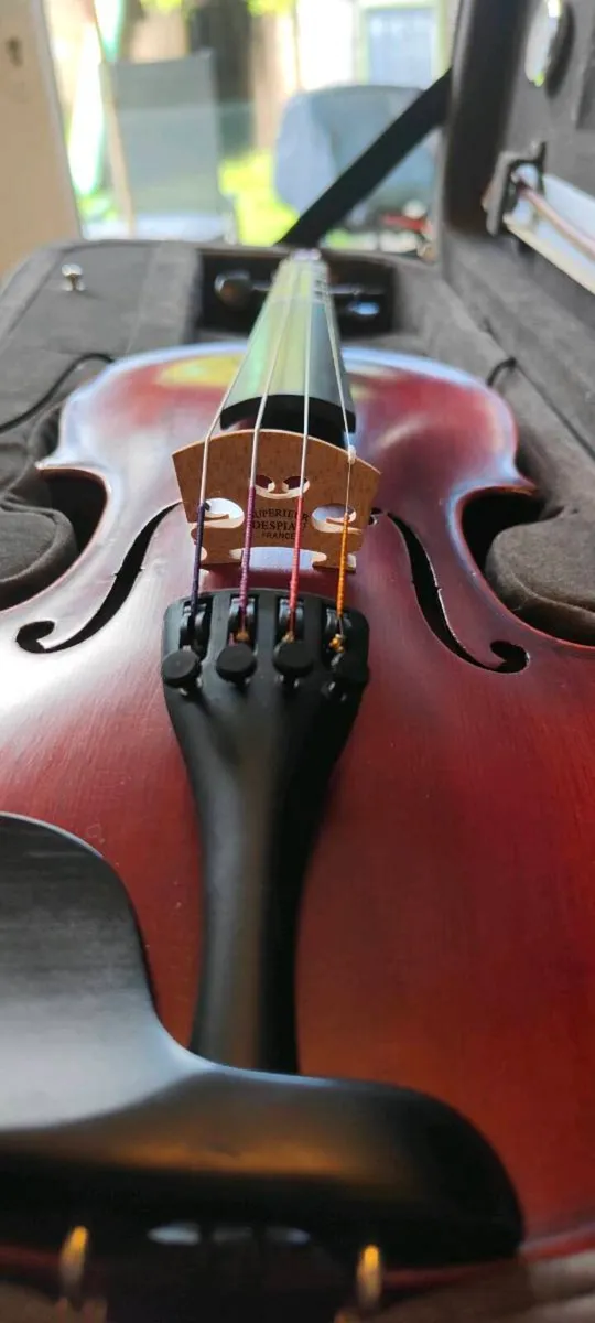 1/2 Eastman Westbury violin - Image 2