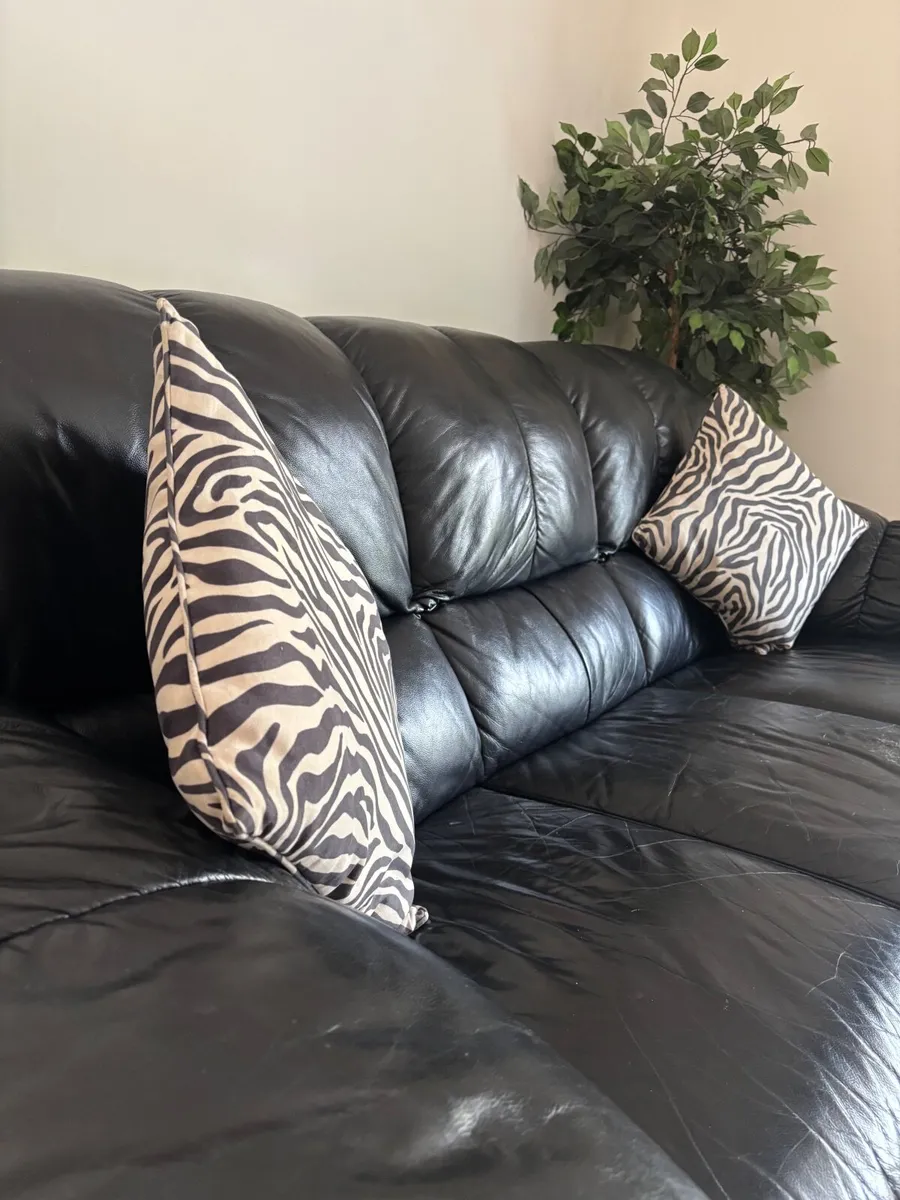 Couch - Image 2