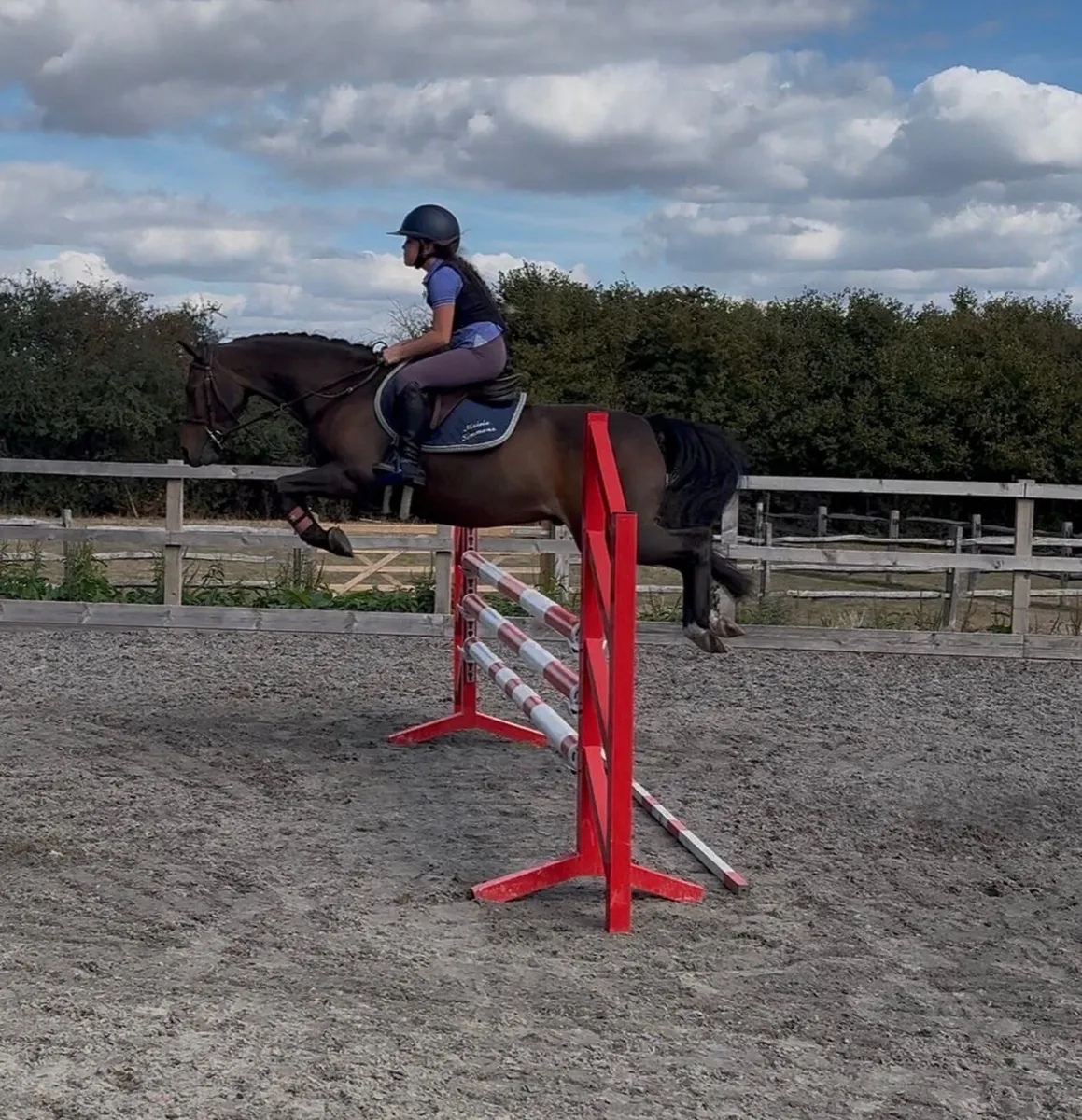 Brilliant allrounder - Image 1