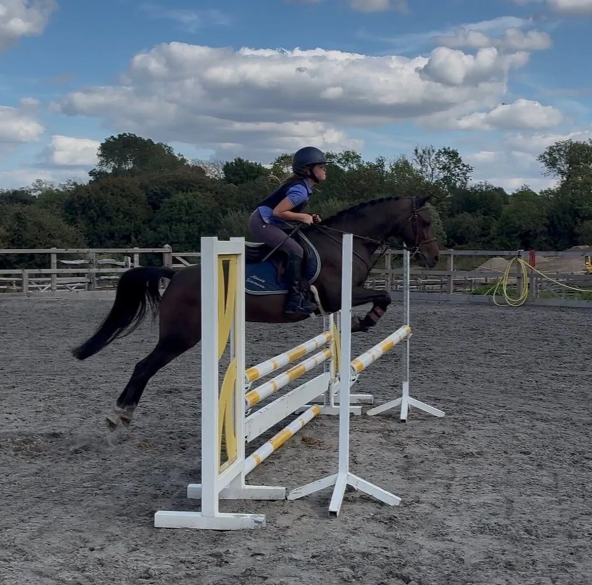 Brilliant allrounder - Image 3