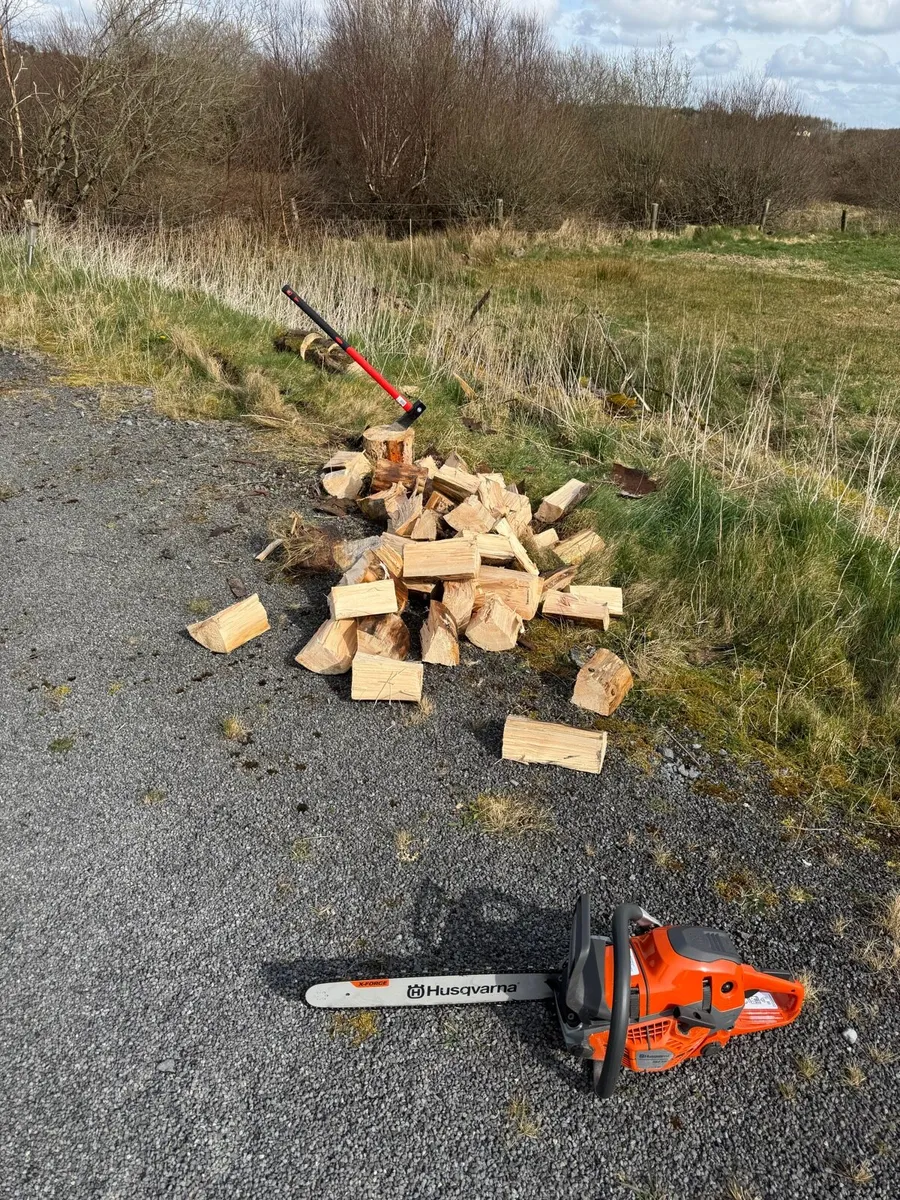 Firewood - Image 1