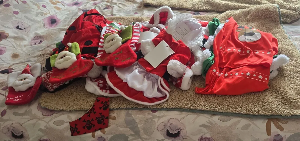 Dog  clothing - Image 1