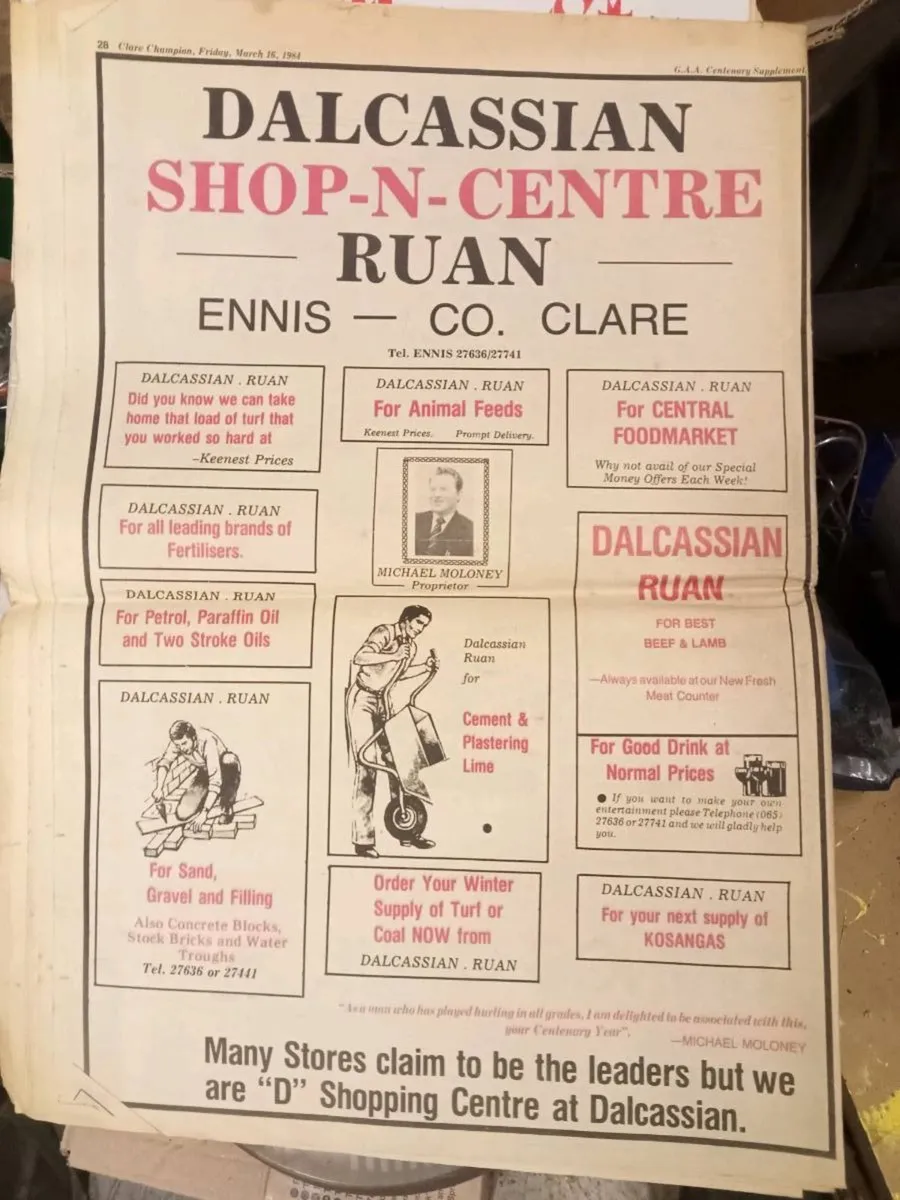 Old Clare champion - Image 2