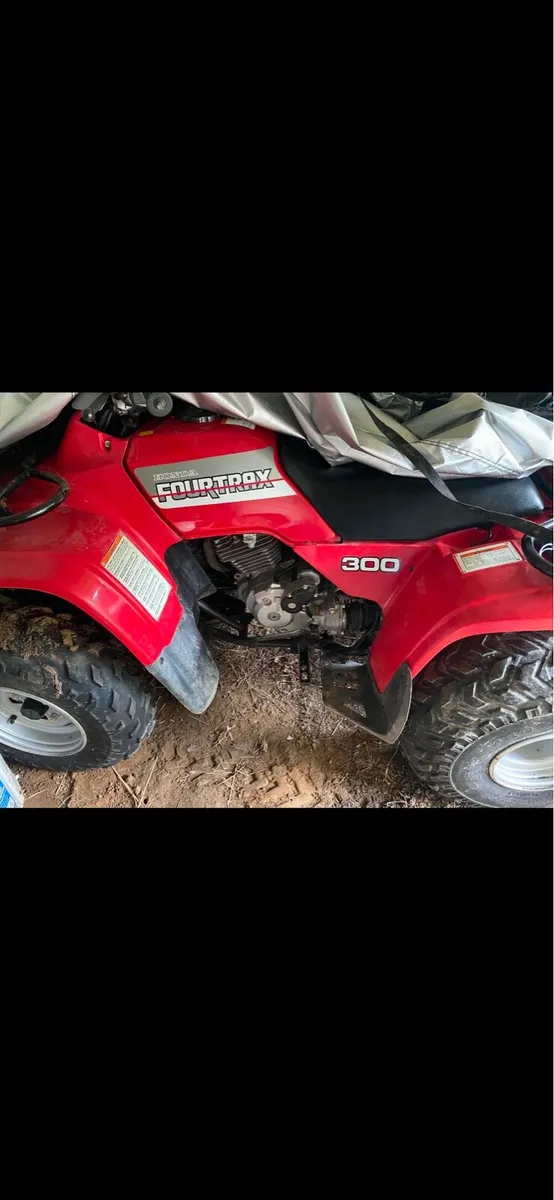 Quads wan t ed