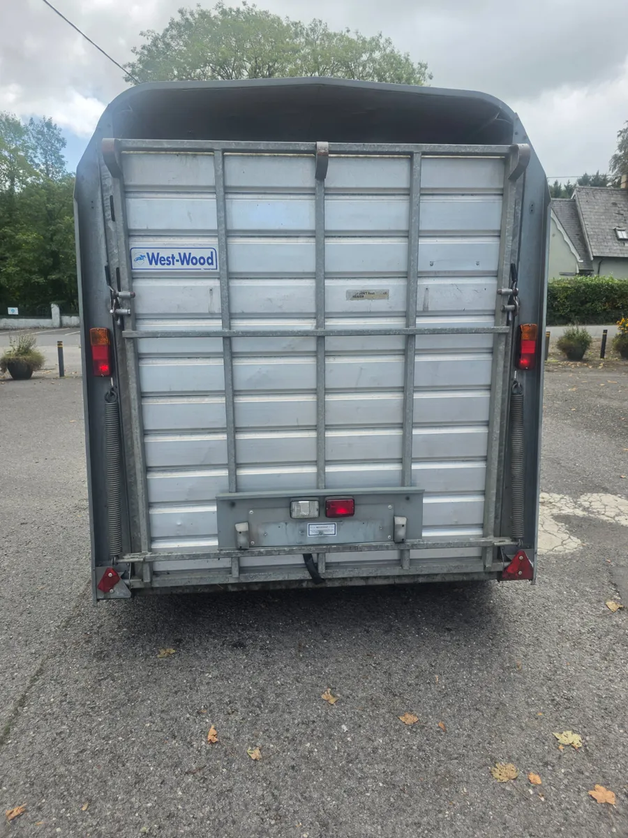 8x5 ifor Williams livestock trailer - Image 3