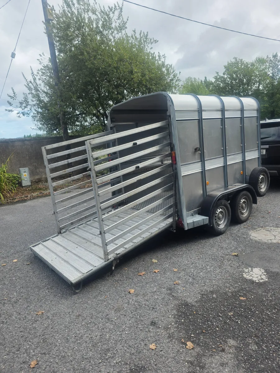 8x5 ifor Williams livestock trailer - Image 4