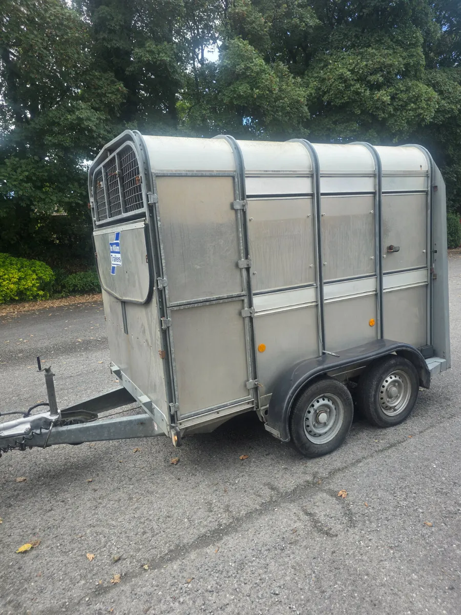 8x5 ifor Williams livestock trailer - Image 2