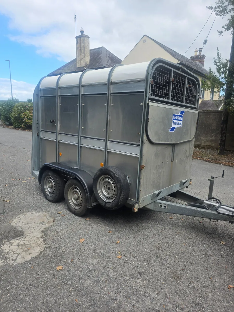 8x5 ifor Williams livestock trailer - Image 1