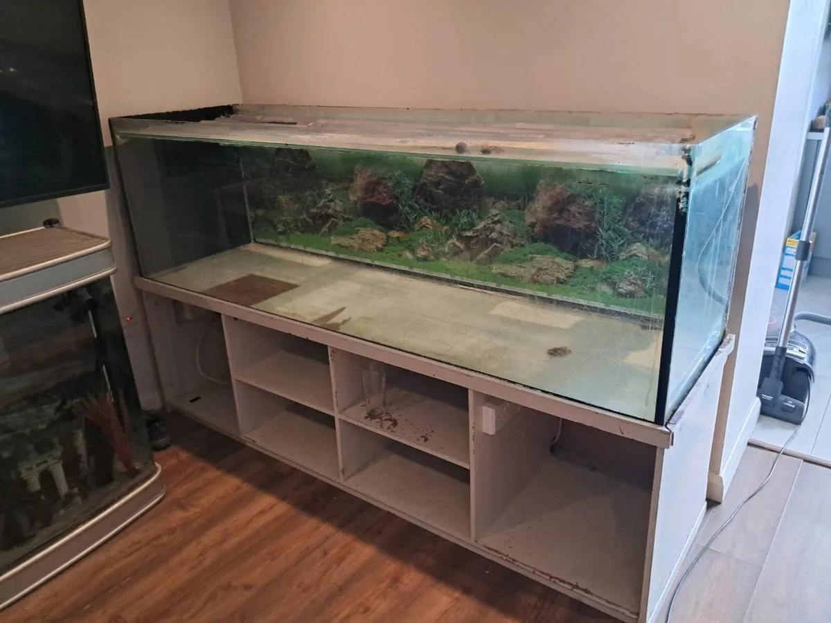 Fish tank - Image 3