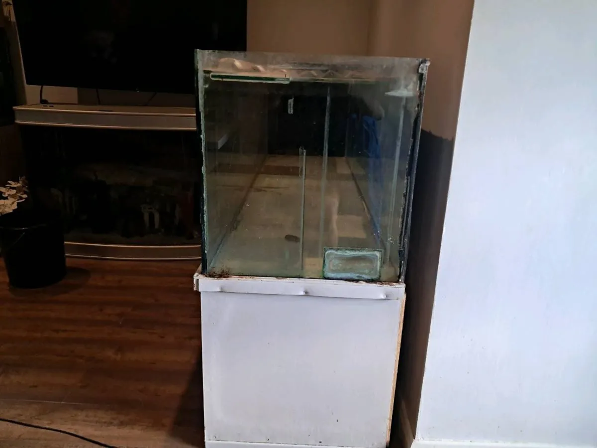Fish tank - Image 2