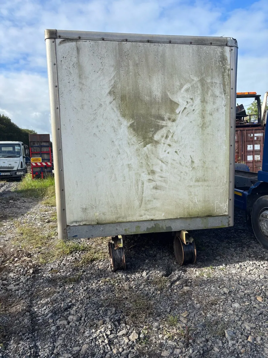 Cattle body - Image 2