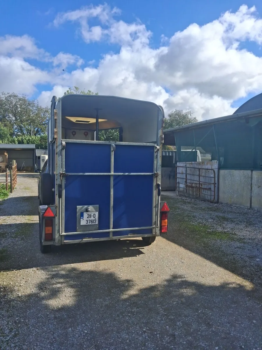 Ifor Williams  HB 505 Double Horsebox for sale - Image 3