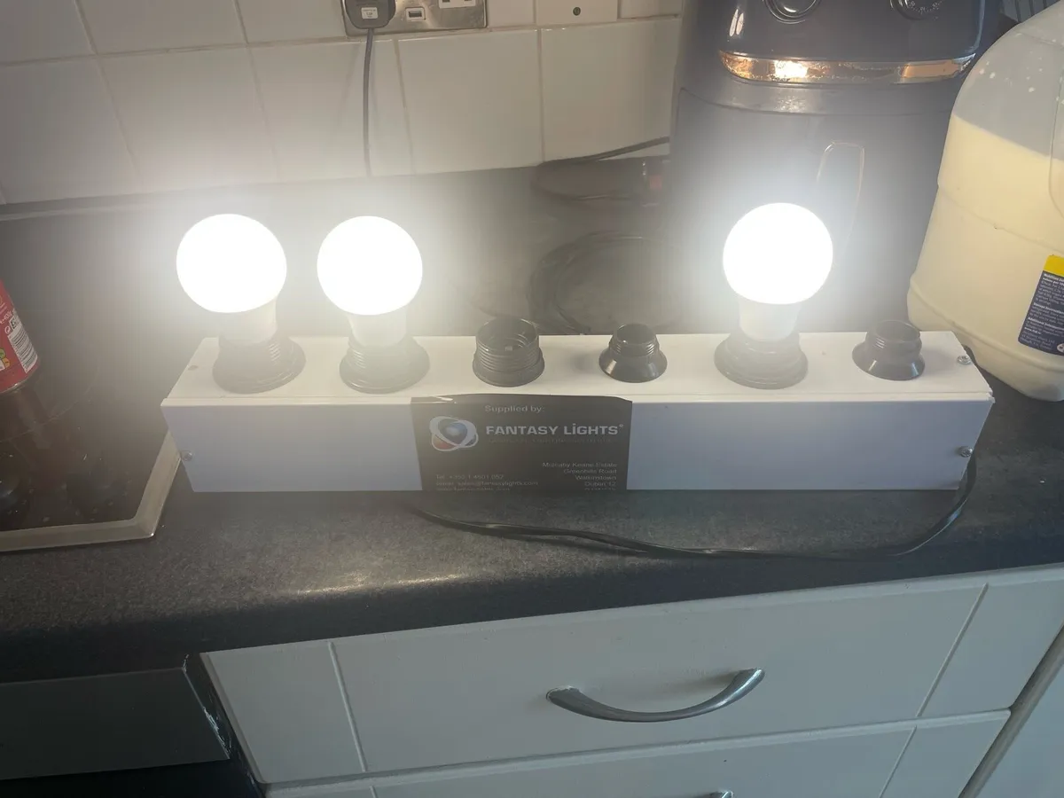 Fantasy 6 bulb light display - Image 3