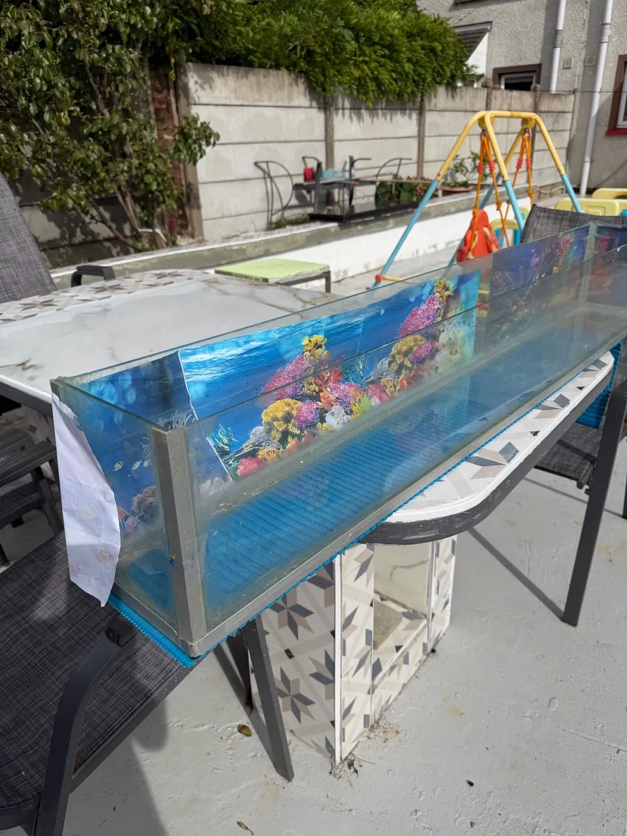 Fish aquarium - Image 1