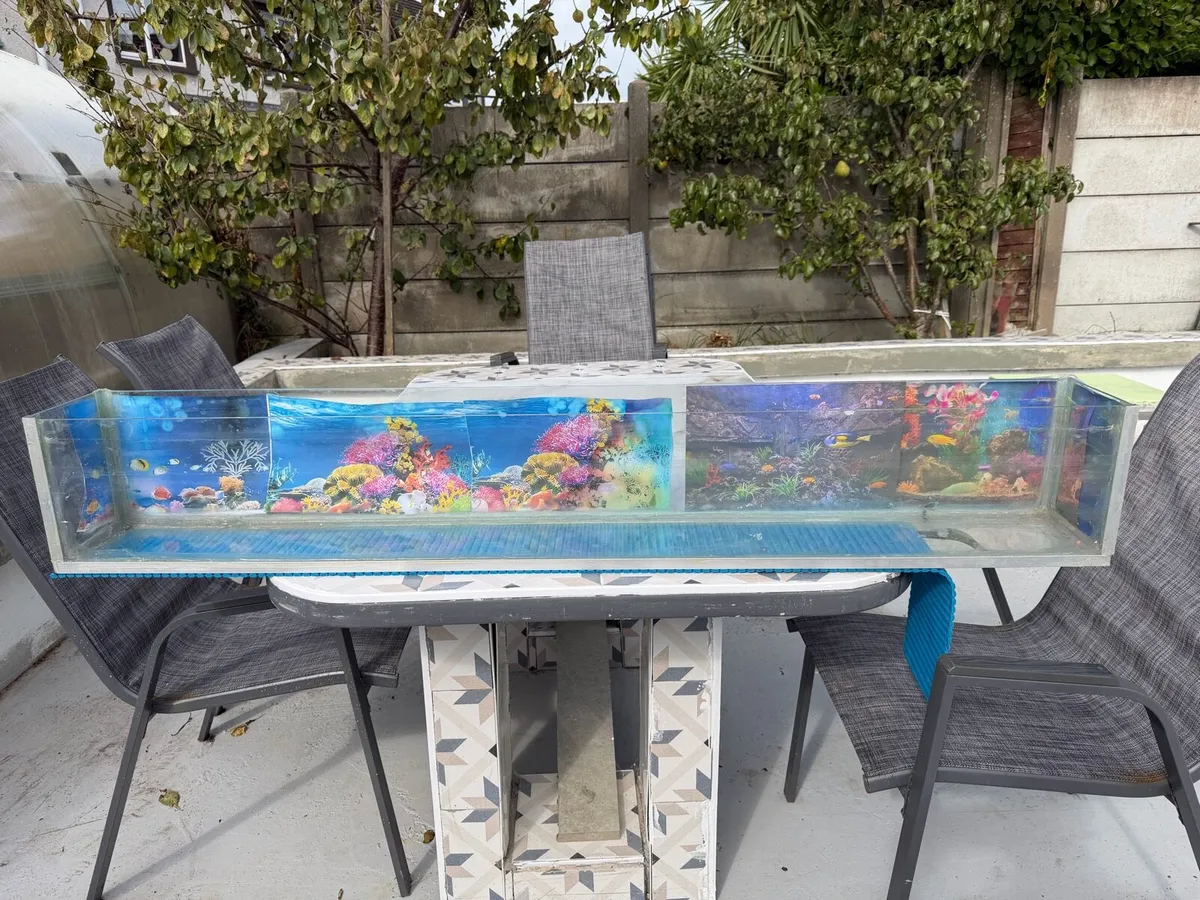 Fish aquarium - Image 2