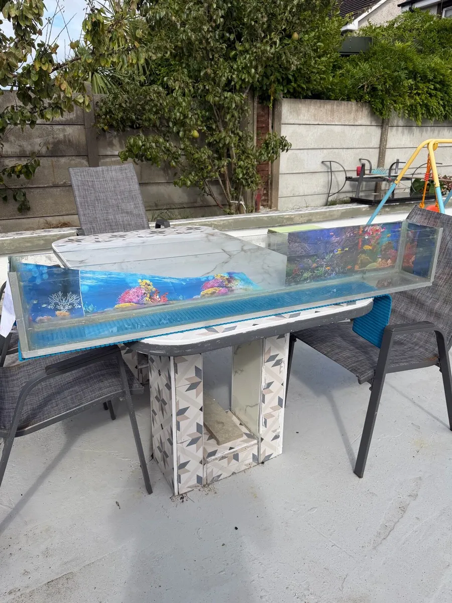 Fish aquarium - Image 3