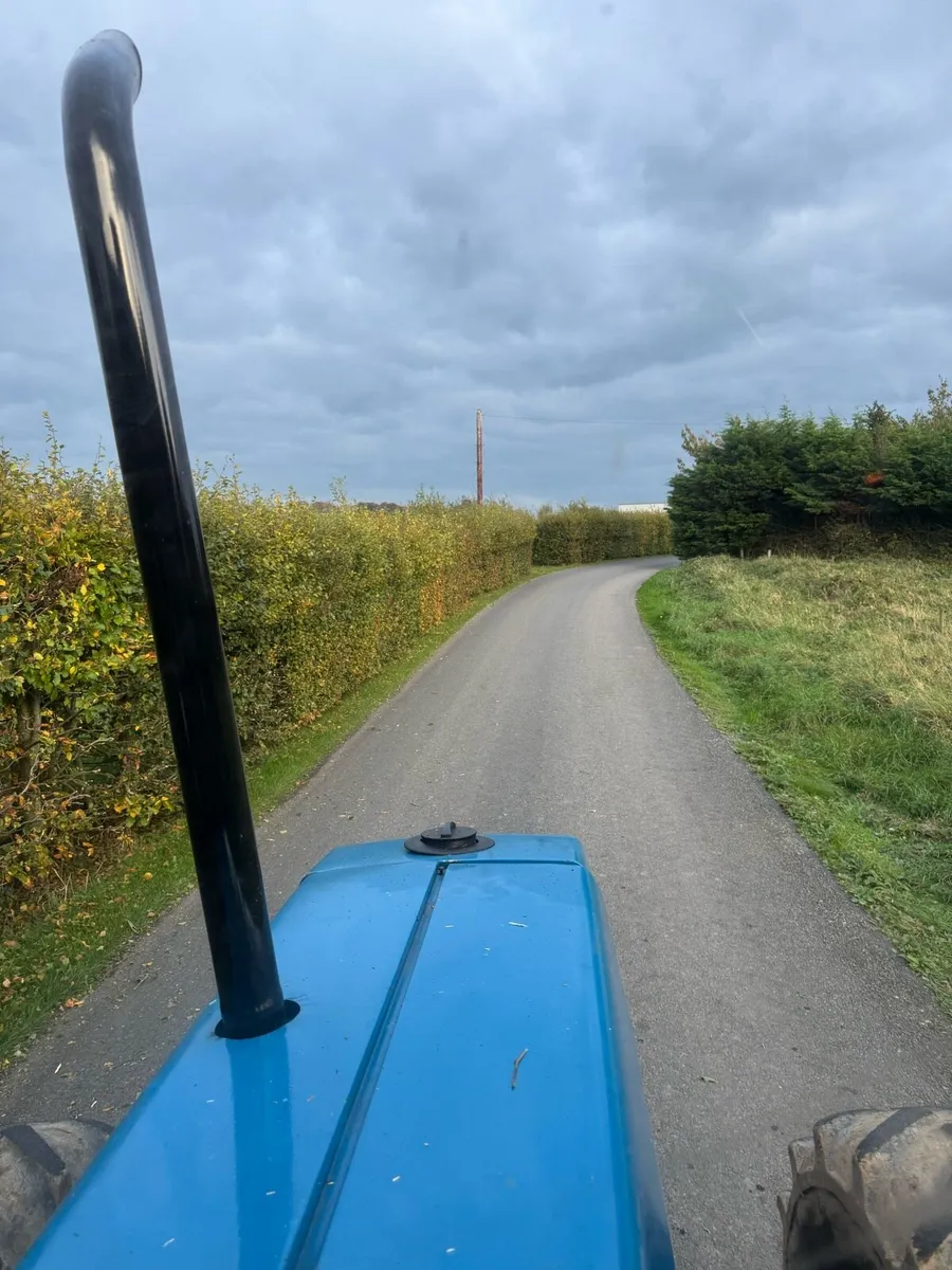 Hedge cutting - Image 2