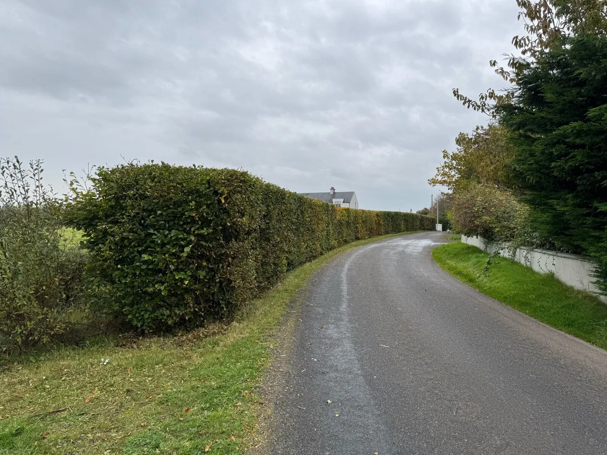 Hedge cutting - Image 3