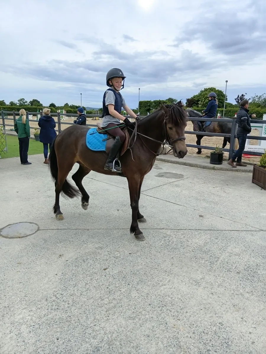 Pony - Image 3