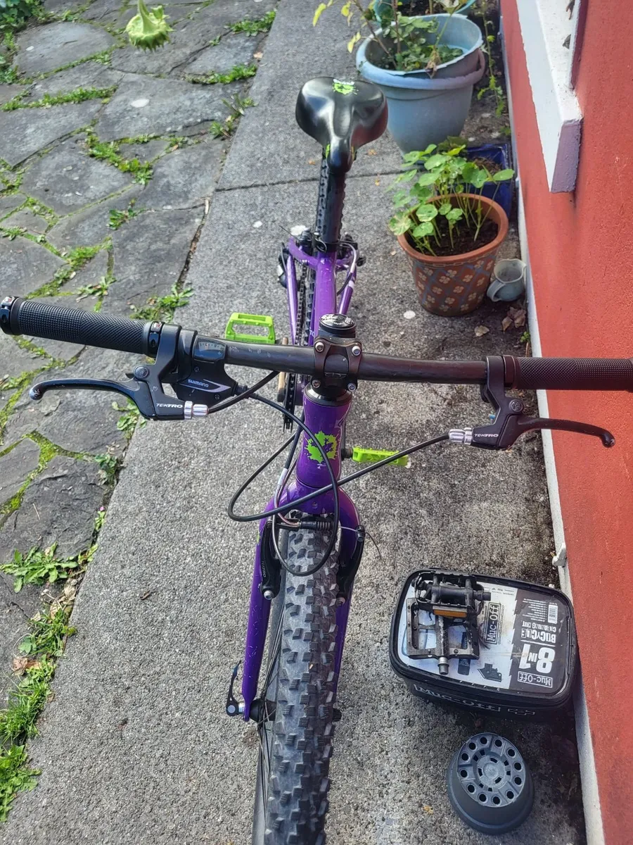 Frog 62 Child's Lightweight Bike - Image 2