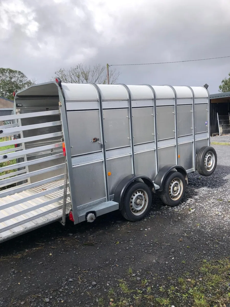 Ifor Williams 12ft cattle trailer - Image 1