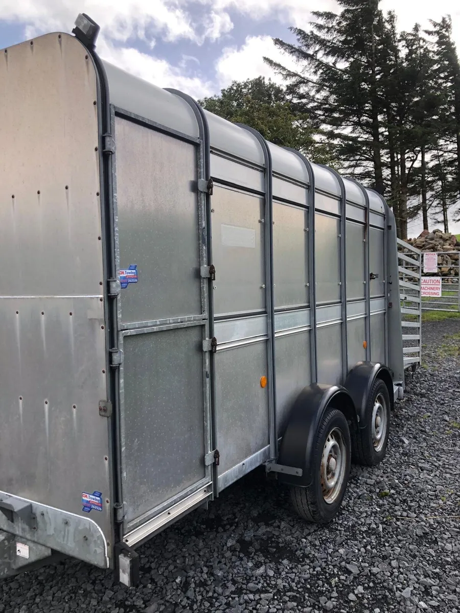 Ifor Williams 12ft cattle trailer - Image 2