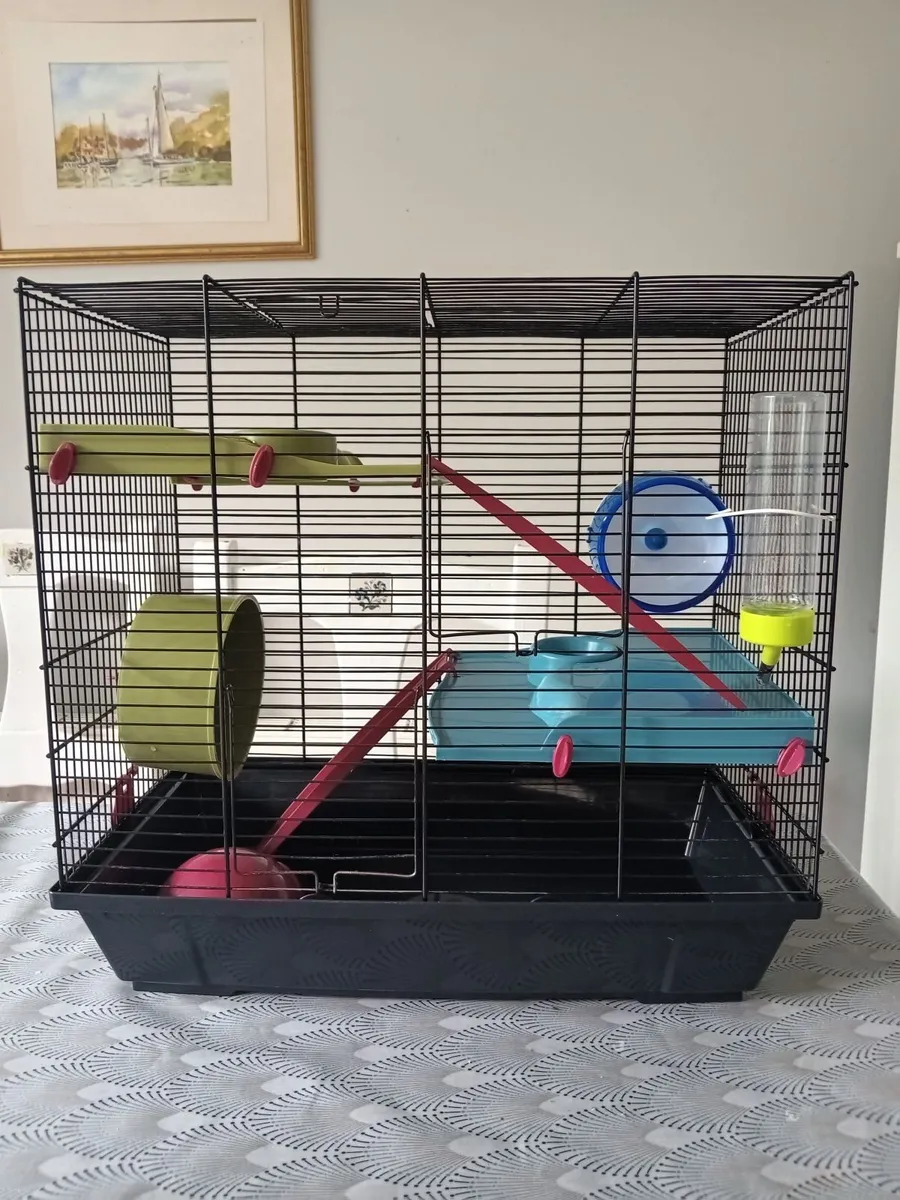 Hamster cage