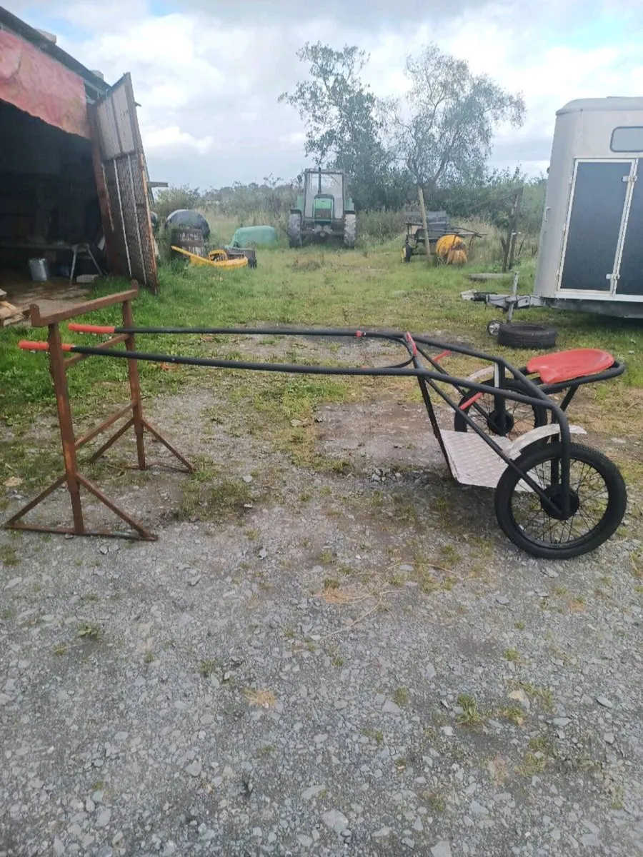 Pony's cart - Image 1