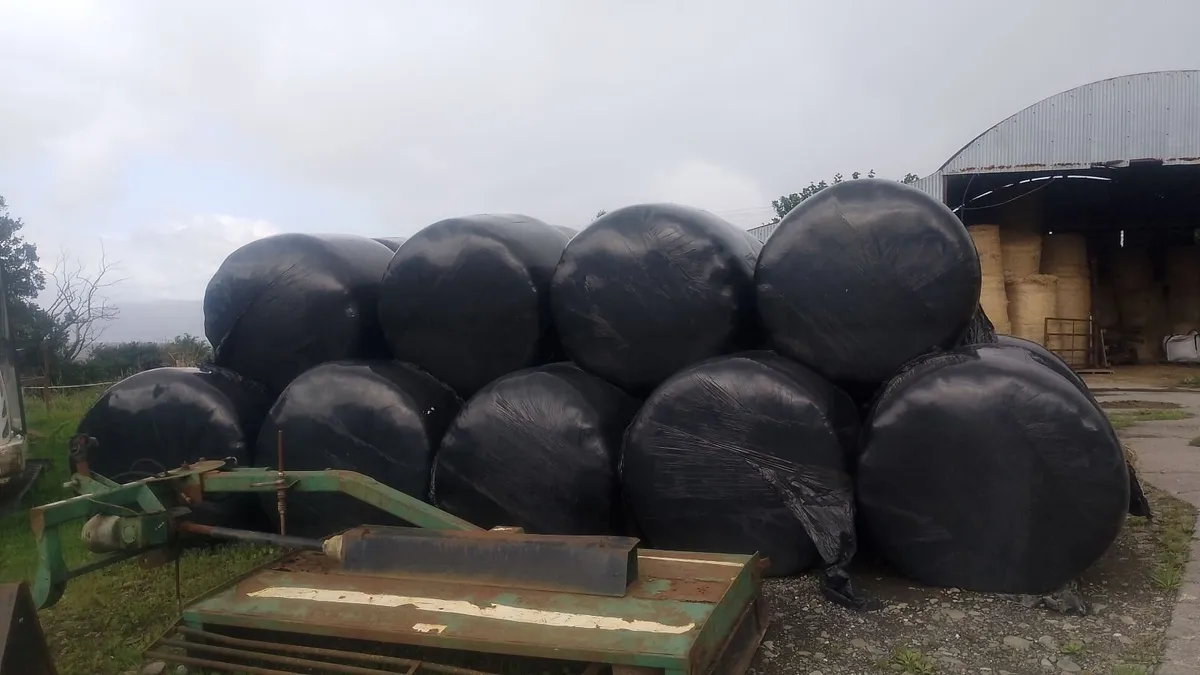 Hay / haylage - Image 1