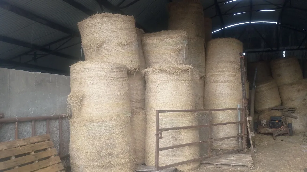 Hay / haylage - Image 2