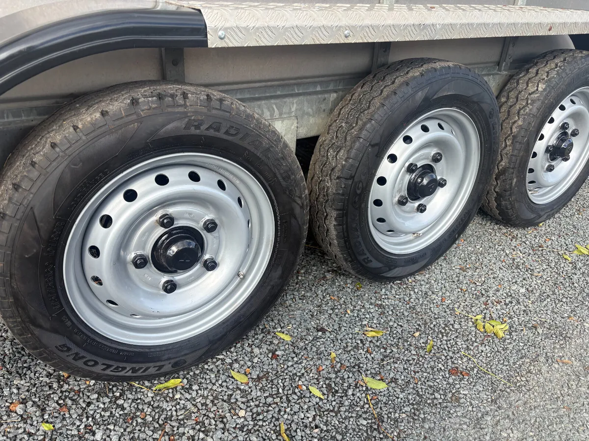 FALCON 14x6 TRI AXLE CATTLE TRAILER   YEAR 2021 - Image 4