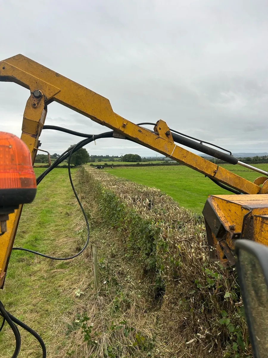 Headge cutting - Image 3