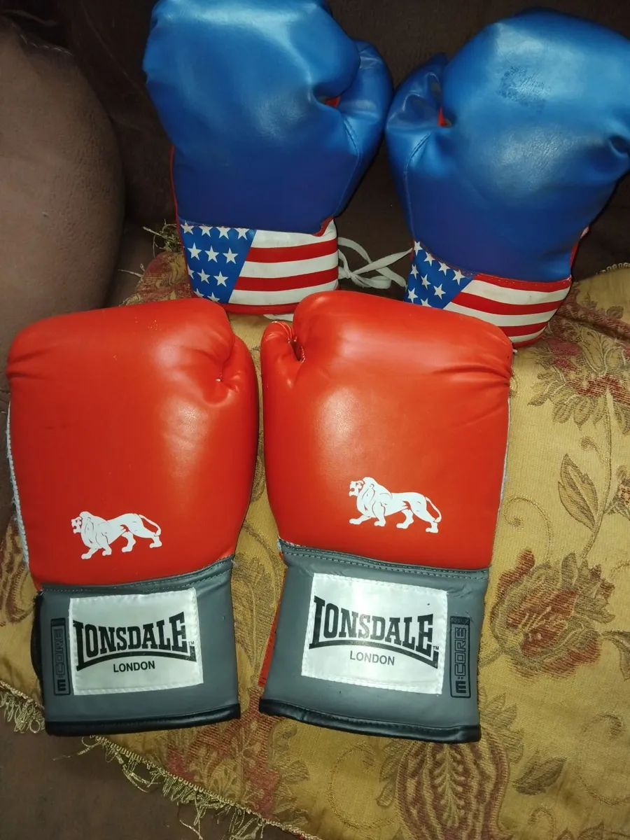 Boxing Gloves Training Set (set of 2 Pairs) - Image 1