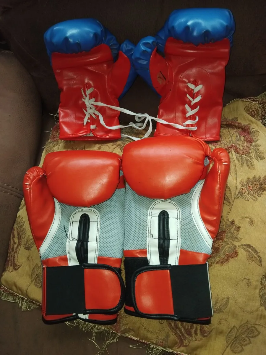Boxing Gloves Training Set (set of 2 Pairs) - Image 2
