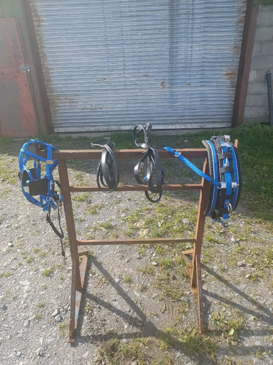 Set of brand new elite driving harness,pony harnes - Image 1