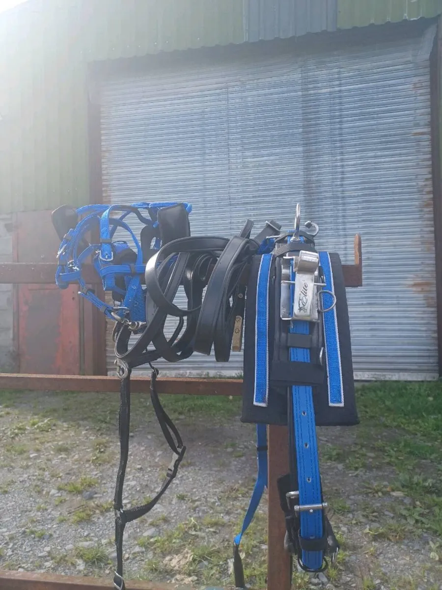 Set of brand new elite driving harness,pony harnes - Image 2