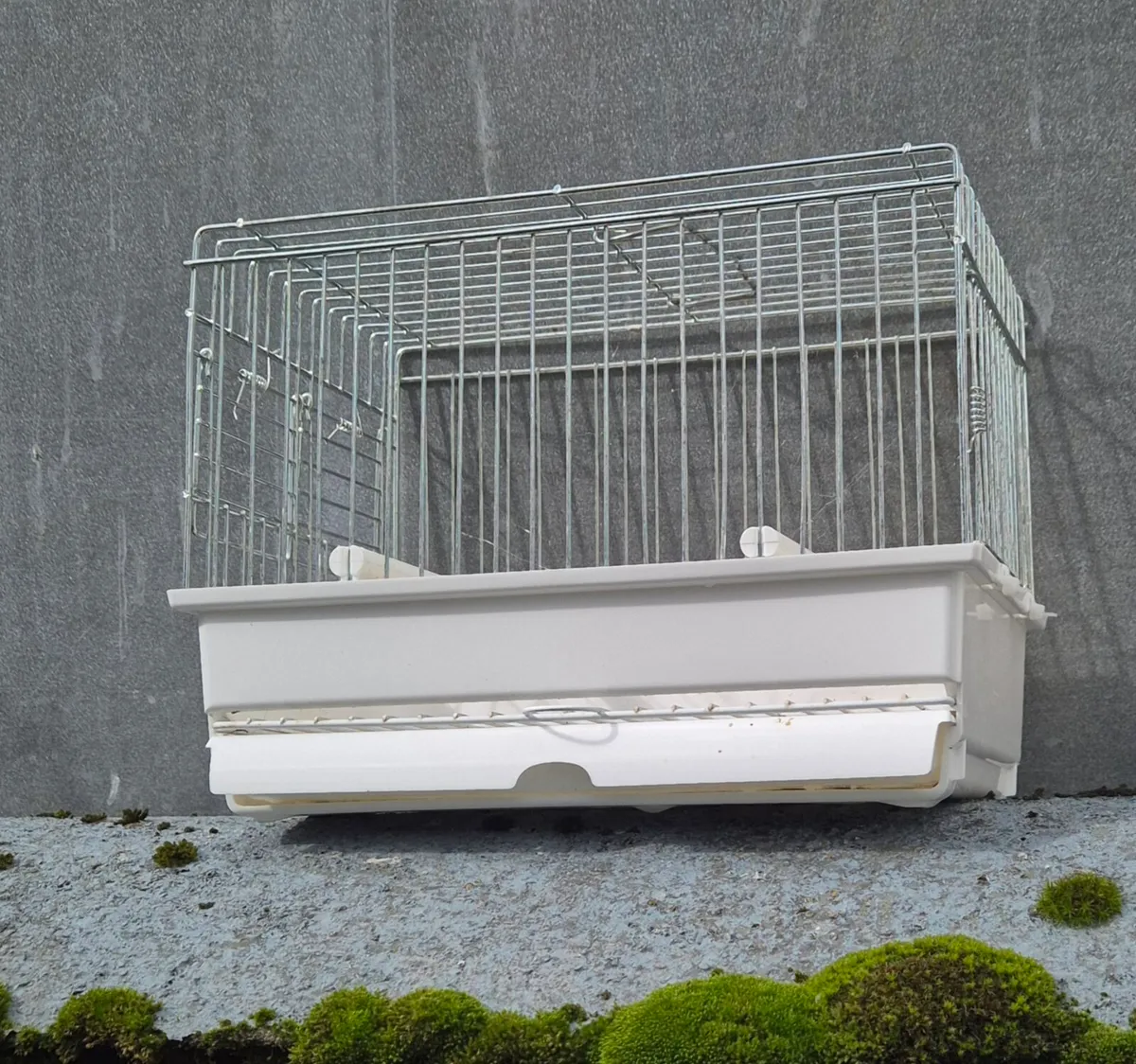 Bird stuff - Image 2