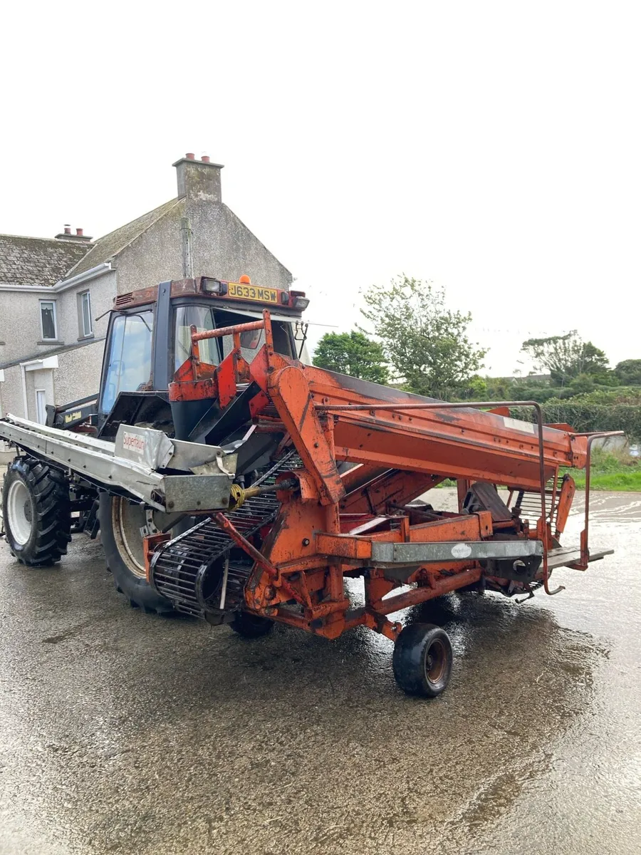 Superfaun 1700 potato harvester - Image 4