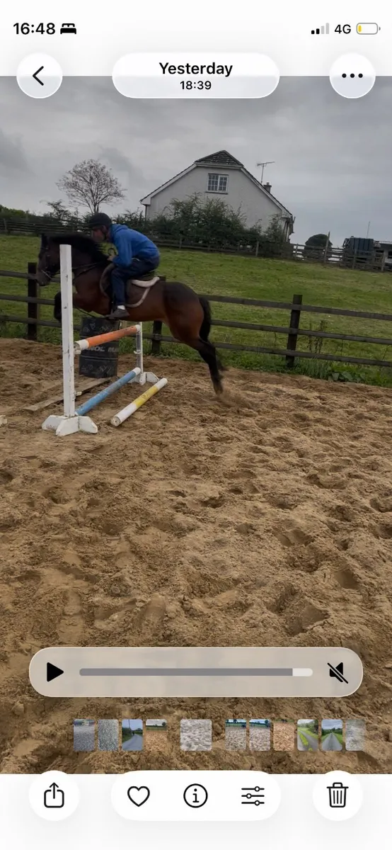 Pony - Image 2