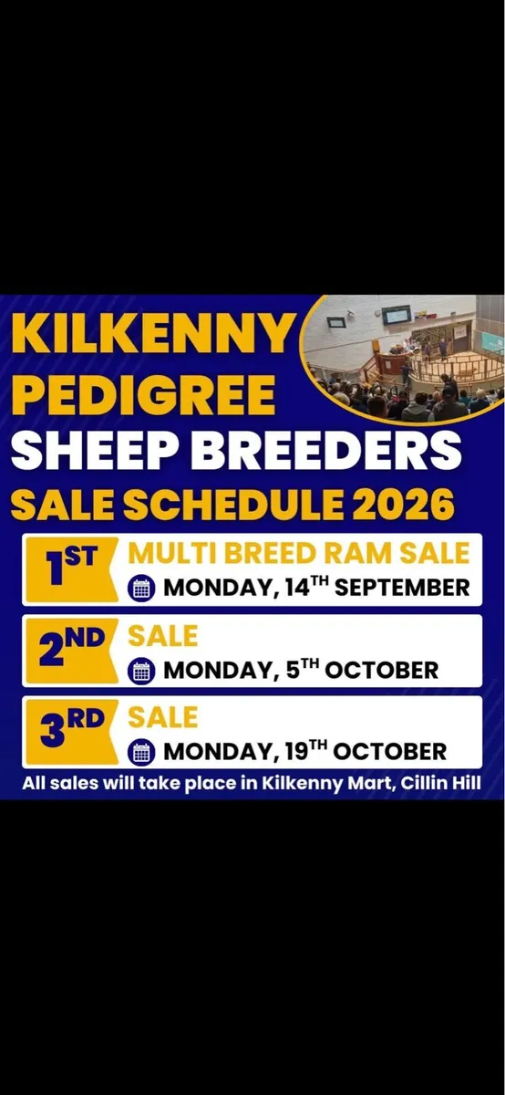Multi breed Ram sale