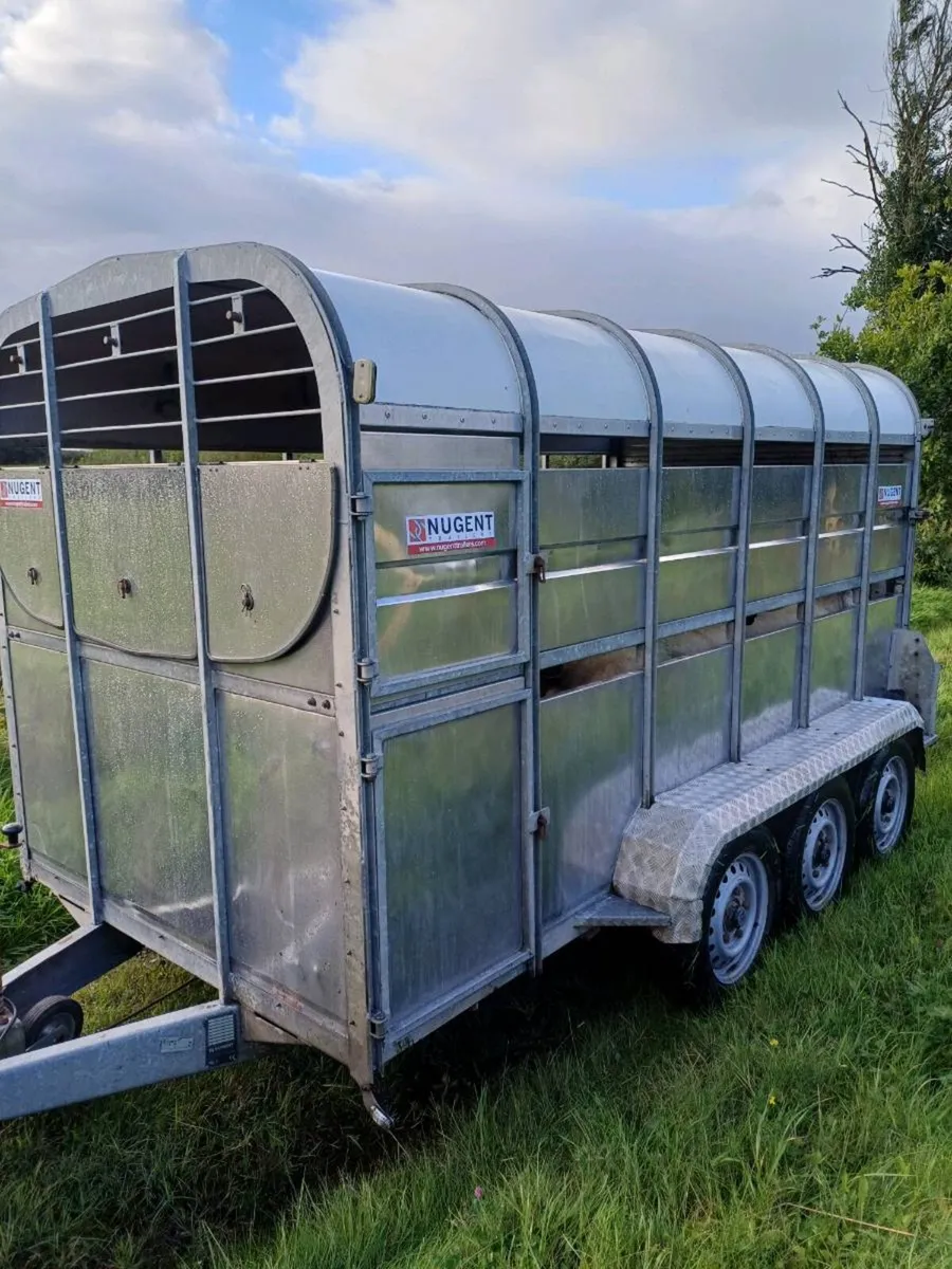 Nugent 12ft. 3 axle cattle trailer - Image 1