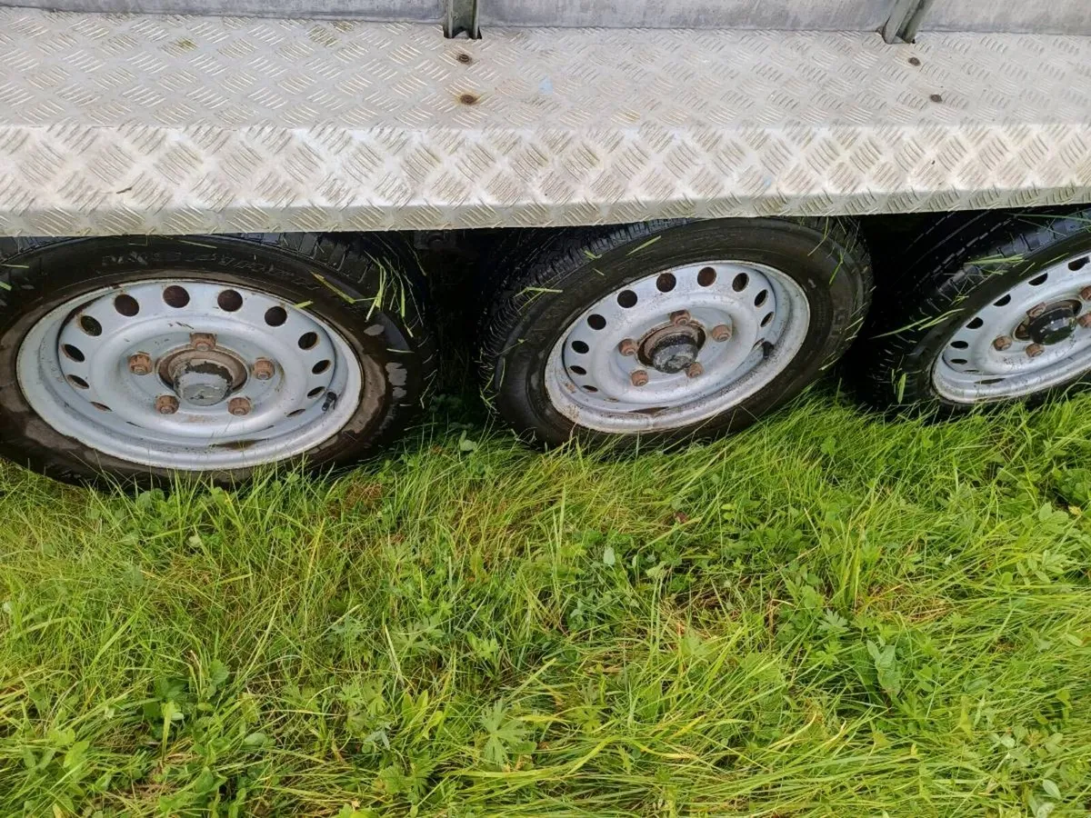 Nugent 12ft. 3 axle cattle trailer - Image 4