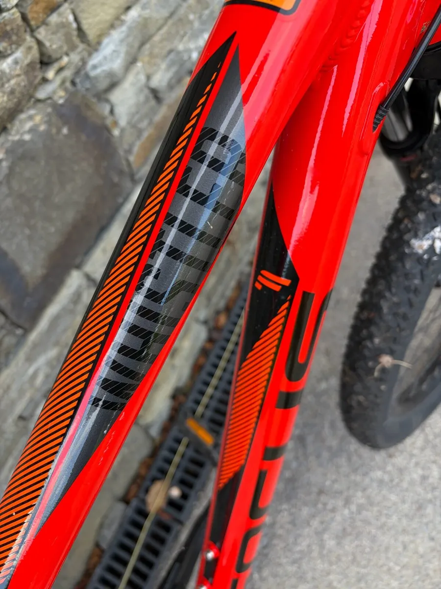 Focus mountain bike - Image 2