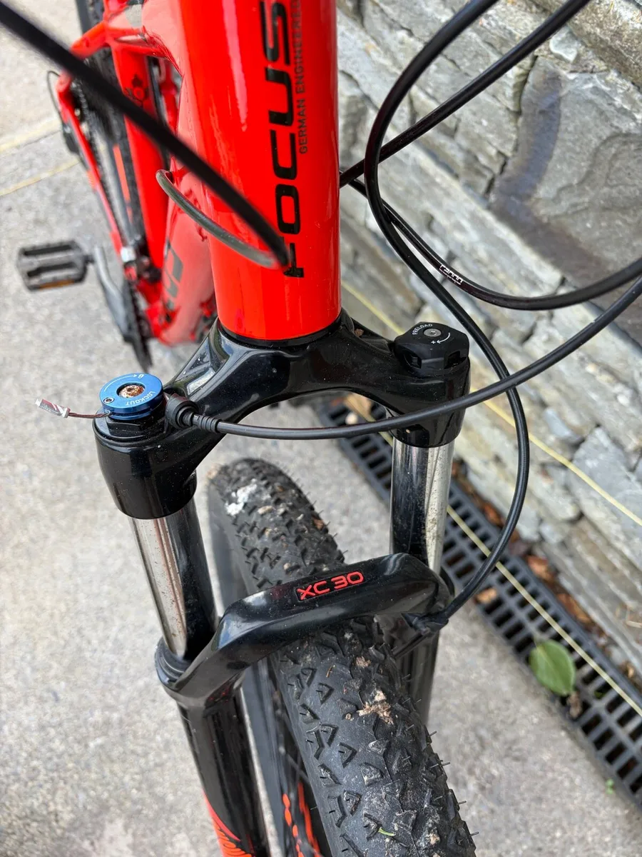 Focus mountain bike - Image 4